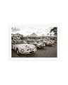 Goodwood Revival Ferarri 250 GTO's Print Only / XXL