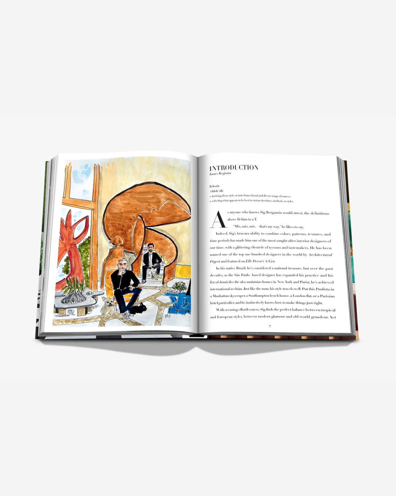 Sig Bergamin Eclectic