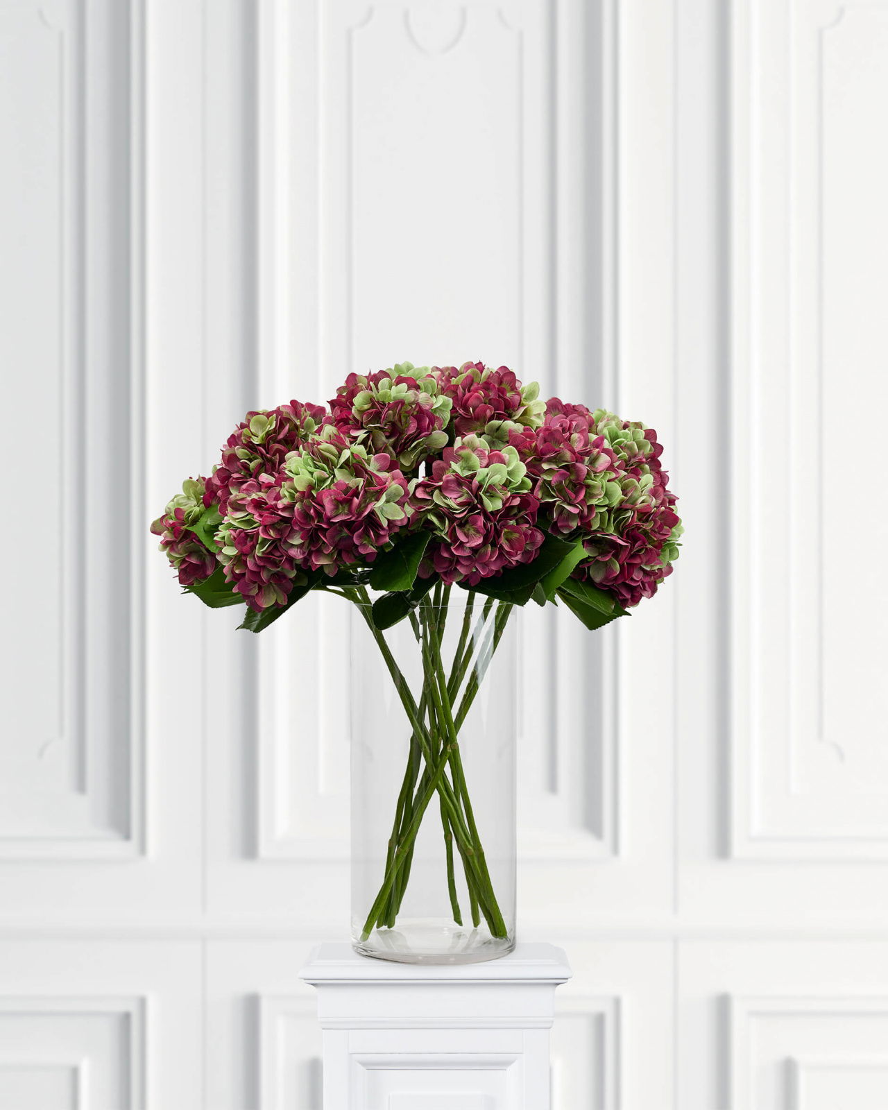 Hydrangea Cut Flower Burgundy/Green