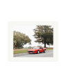 Ferrari 288 GTO Print Only / XL