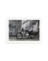 1963 Triumph Trophy White / XXL
