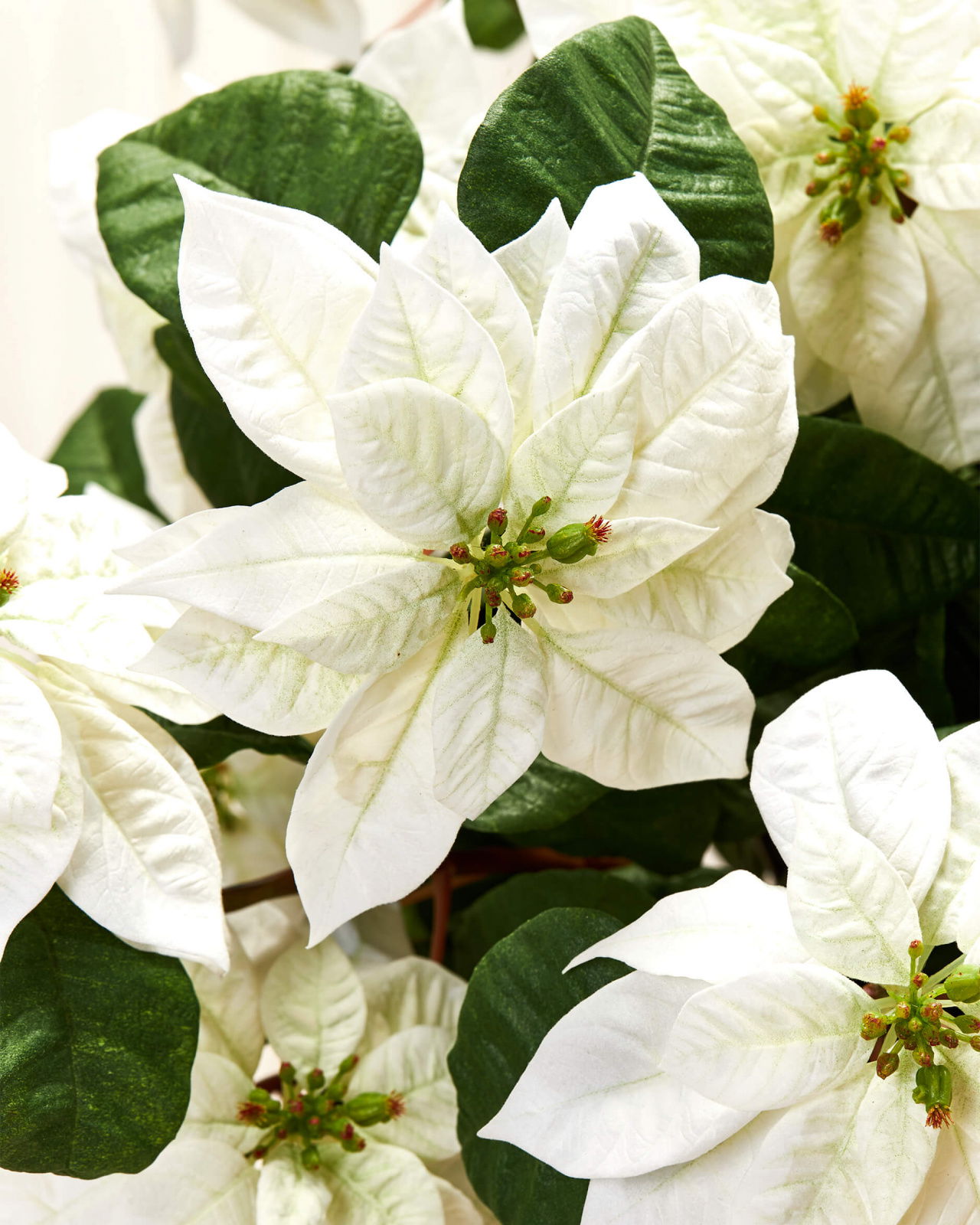 Julestjerne – kunstig plante i hvid OUTLET