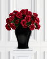 Rose Cut Flower Red