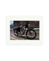 Triumph 1963 Print Only / Medium