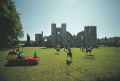 Polo At Cowdray Park