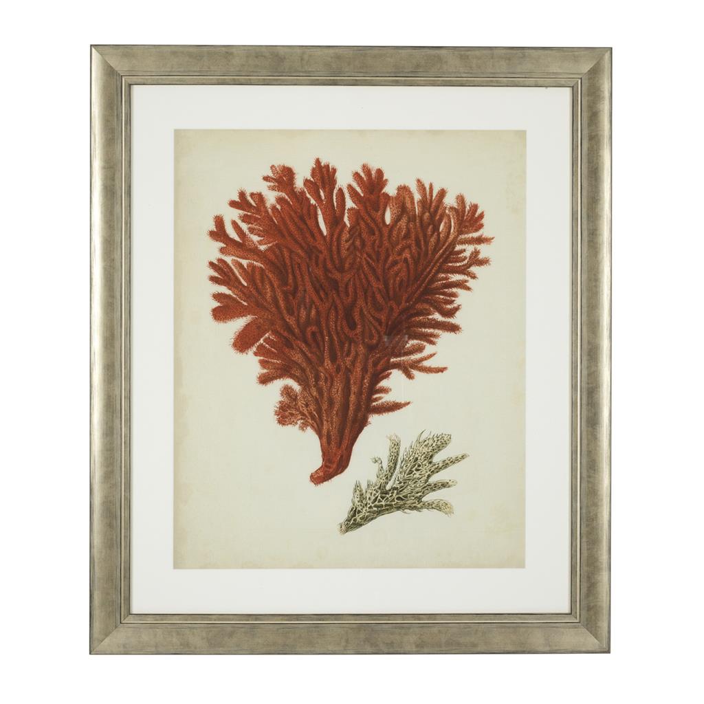 Antique Red Corals
