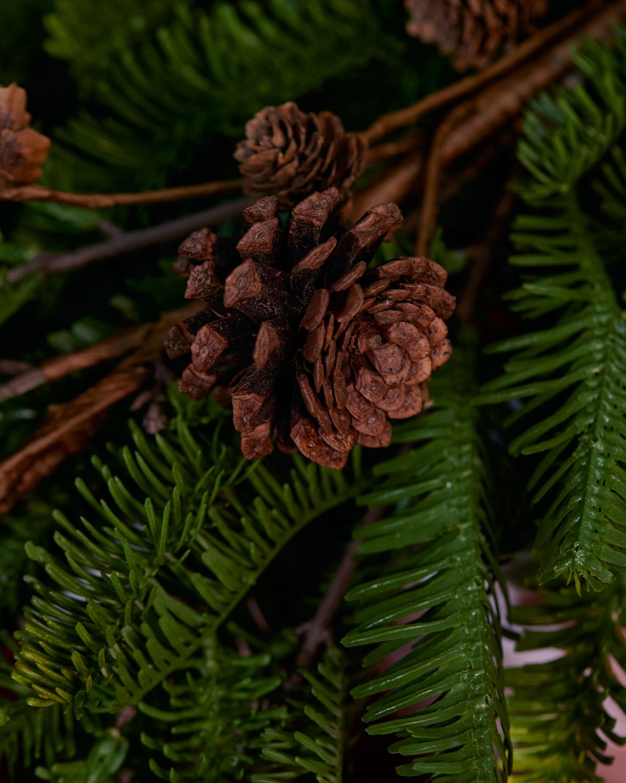 Sierra Spruce Sprig Cones