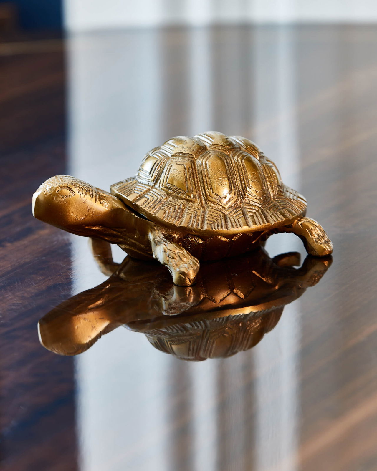 Kilpikonna rasia messinki