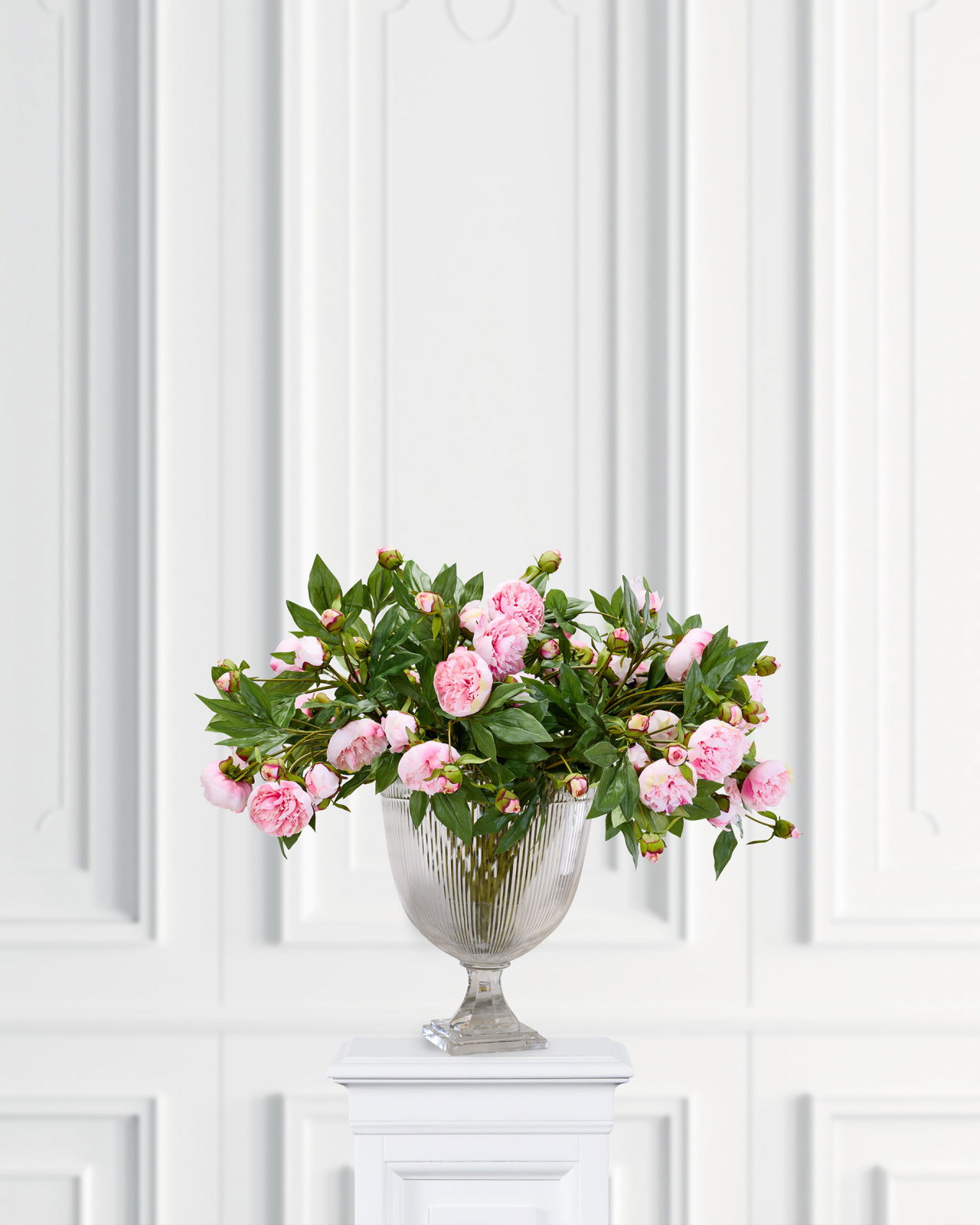 Pfingstrose Schnittblume rosa