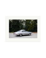 1964 Alfa Romeo Giulia SS Print Only / XL