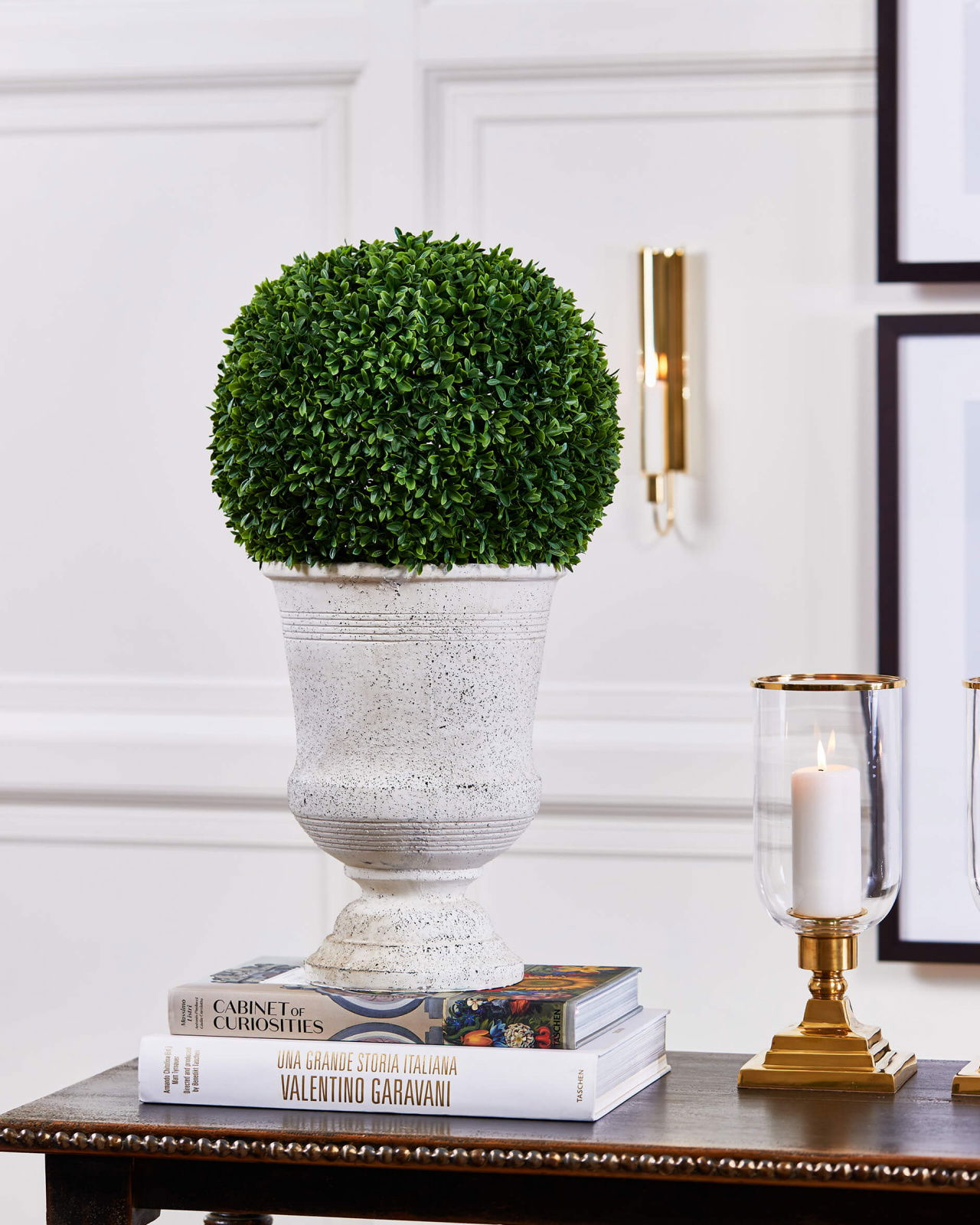 Boxwood Potted Plant Green