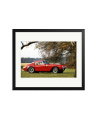 Ferrari Competizione Black / Large