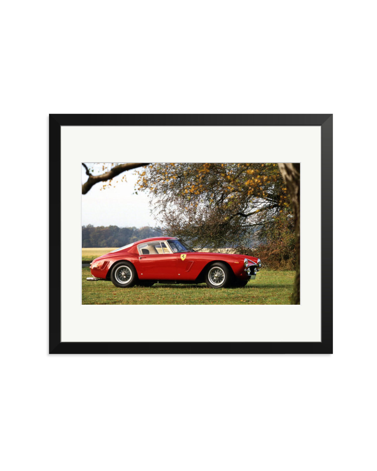 Ferrari Competizione Black / Large