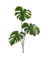 Monstera faux flower green