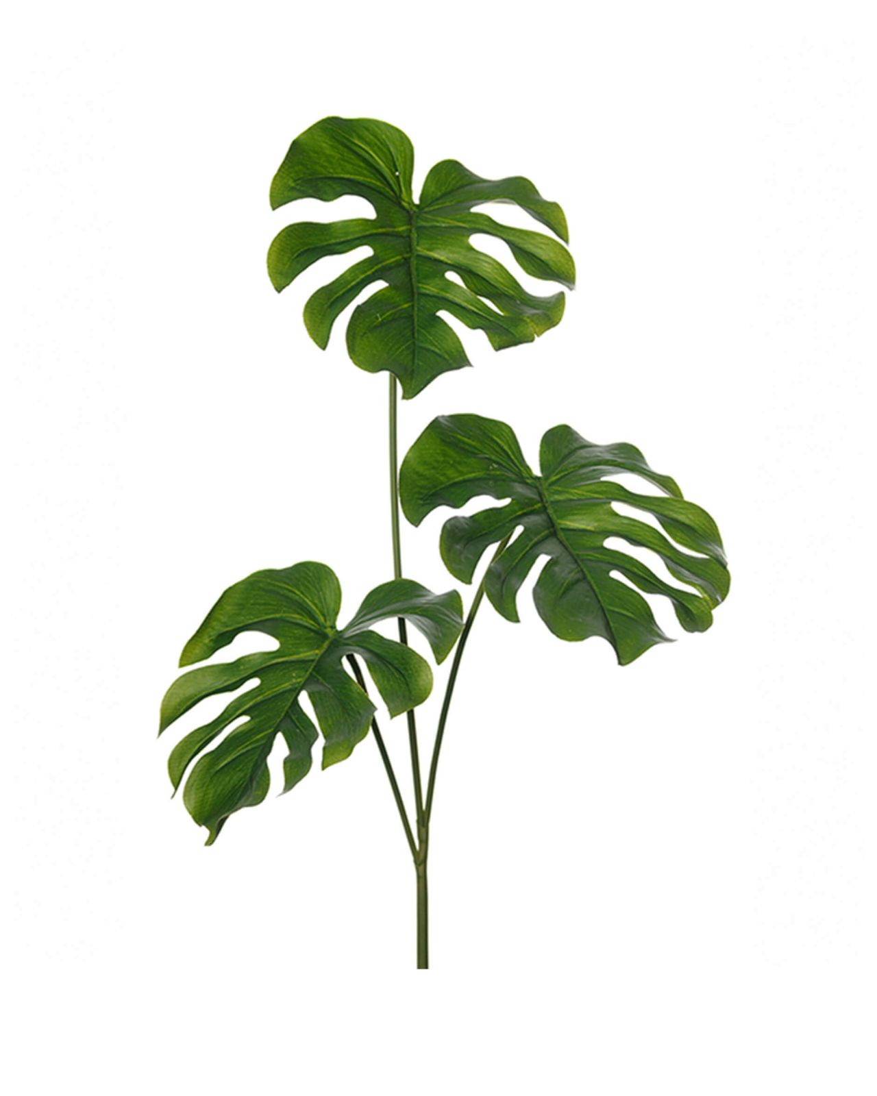 Monstera faux flower green