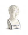Phrenology head dekoration