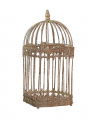 Loretta Birdcage Champagne