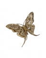 Sylvie Butterfly Christmas Decoration Gold