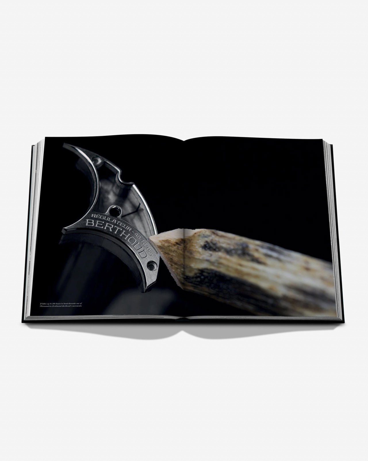 The Quest for Precision: Ferdinand Berthoud