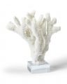Chloé korall hvit