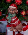 Murphy Dog Decoration 35,5cm