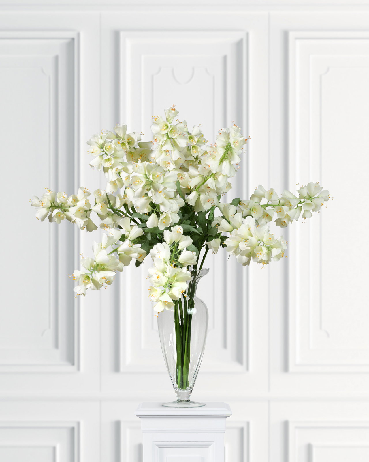 Frittilaria snittblomst hvit