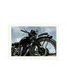 Vincent Black Shadow Print Only / XXL