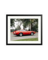 Ferrari Daytona Black / Large
