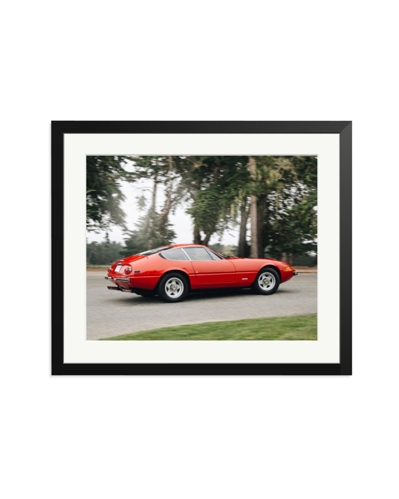 Ferrari Daytona Black / Large