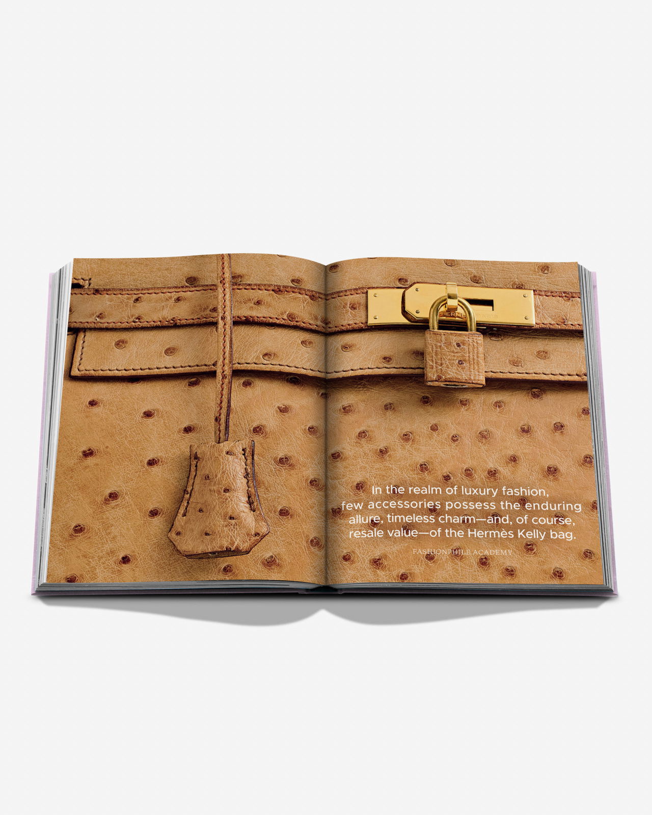 Fashionphile: The Book of Iconic Bags