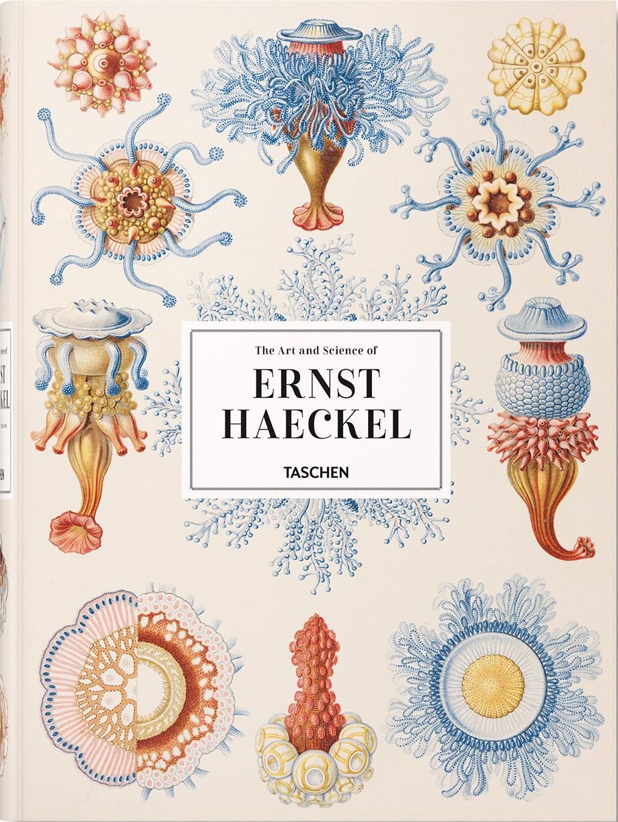 Ernst Haeckel - XXL