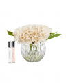 Hydrangeas Gift Set