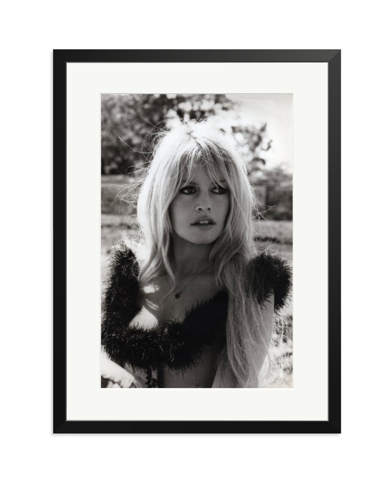 Brigitte in 'Viva Maria' Black / XL