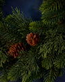 Fir Wreath Cones 45cm