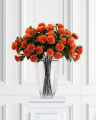 Krysantemum snitblomst orange