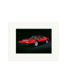 1977 Ferrari 365 Print Only / Small