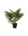 Palm Potted Plant Green