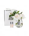 Tea Rose Gift Set