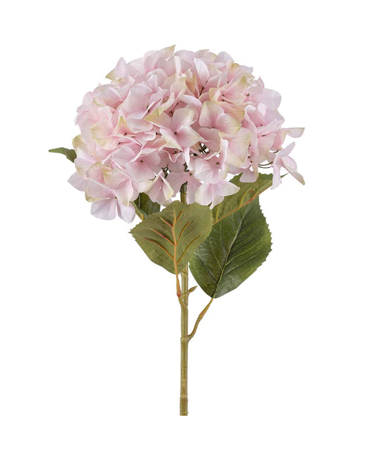 Hortensia leikkokukka vaaleanpunainen