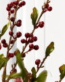 Berry branch cut flower red