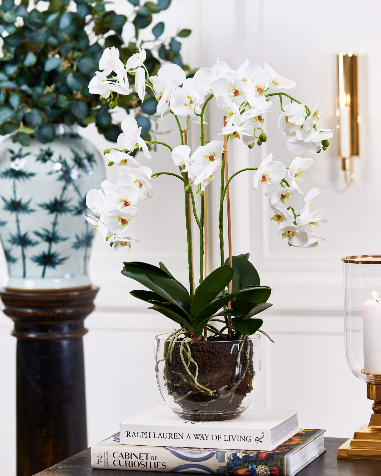 Orkidé krukväxt vit