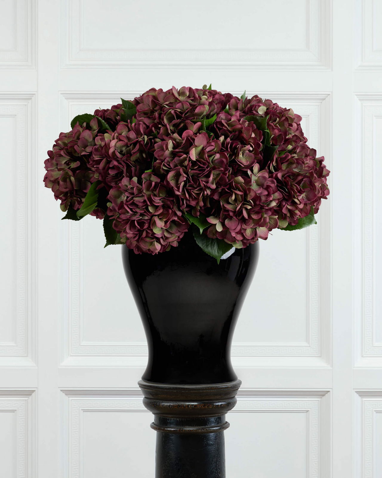 Hortensia snijbloem bordeaux