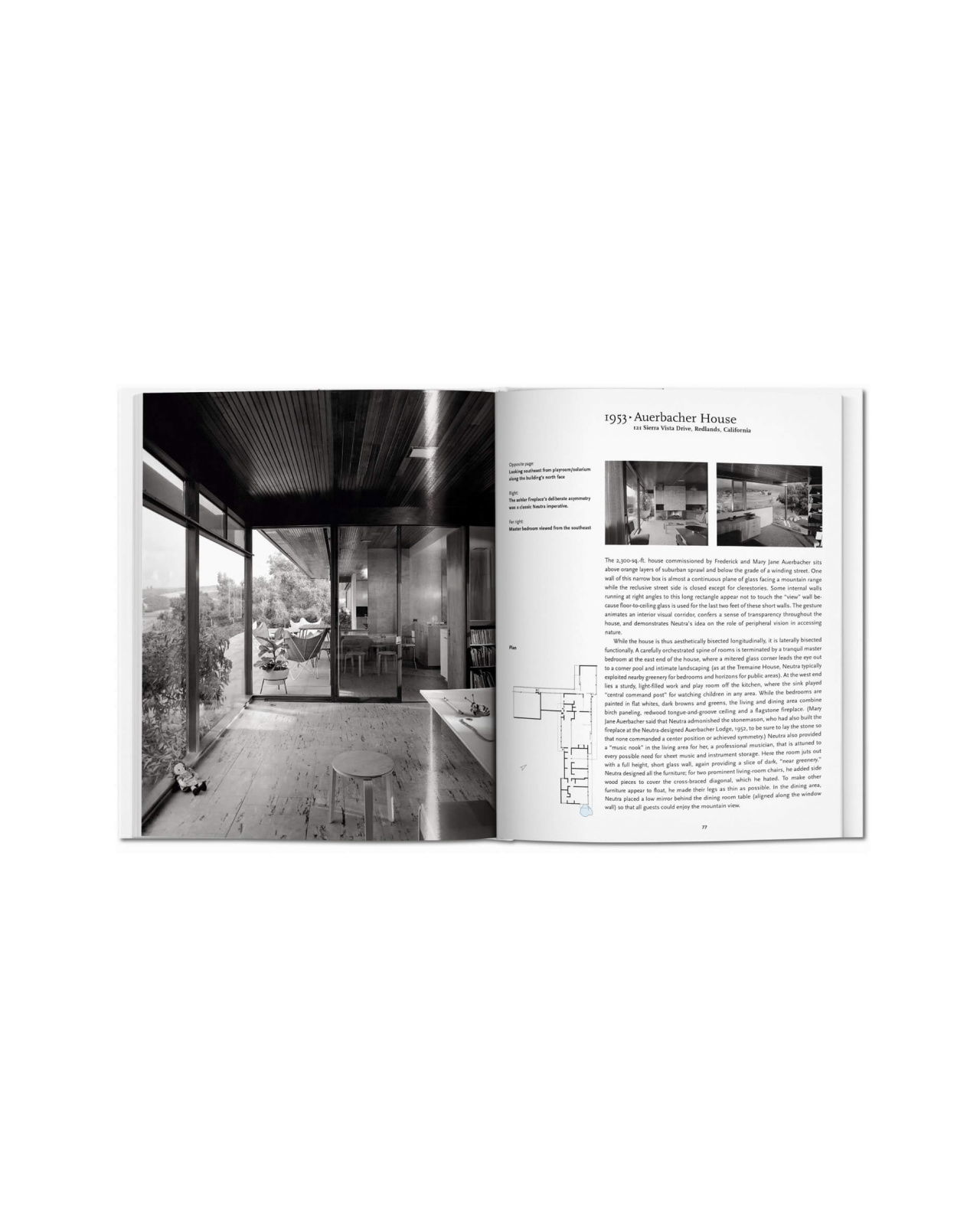 Neutra - Basic Art Series