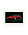 1977 Ferrari 365 Print Only / Large