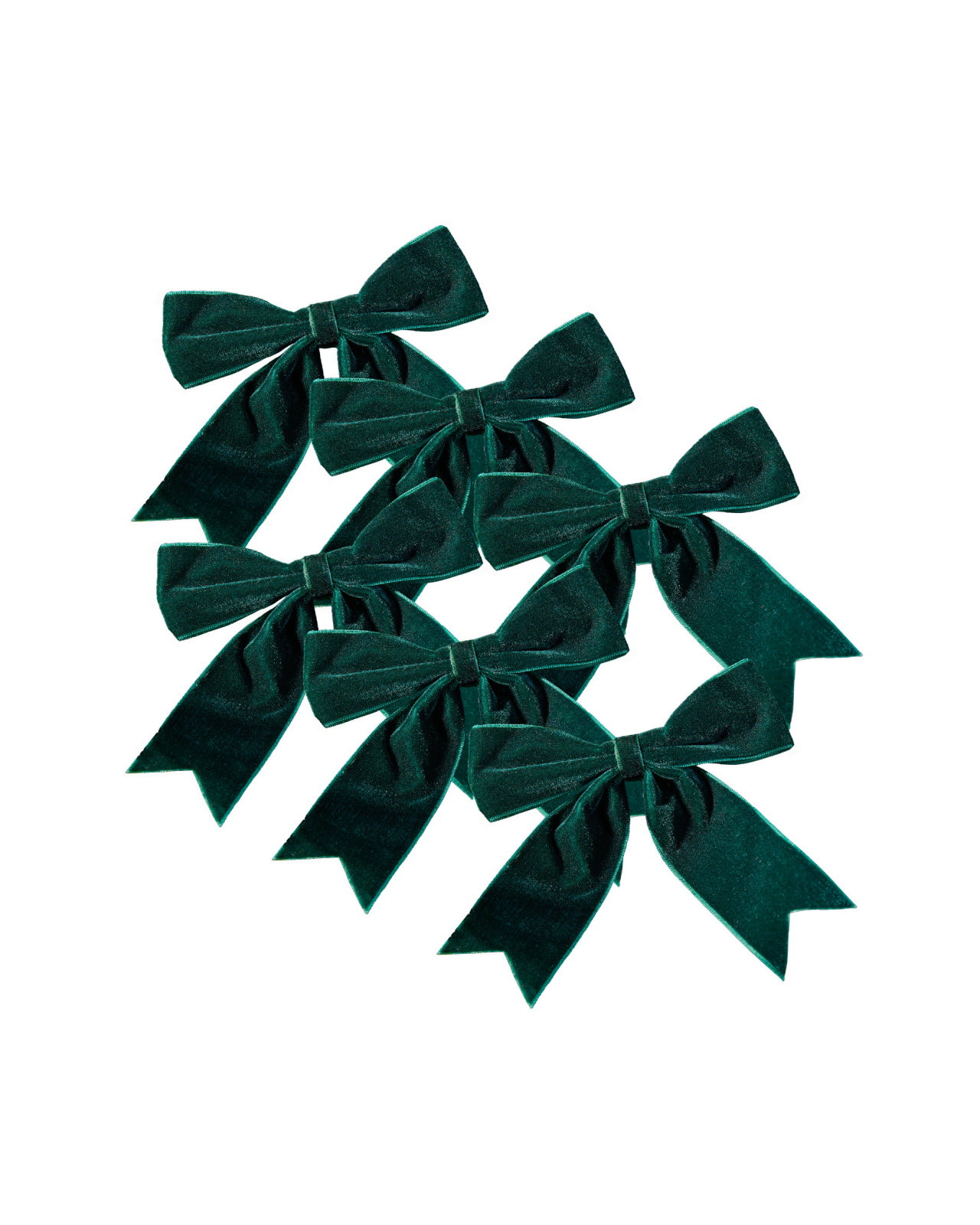Beth Bow 6-Pack