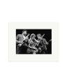 Bruce & The Boys Print Only / Small