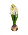 Hyacinth Artificial Plant White