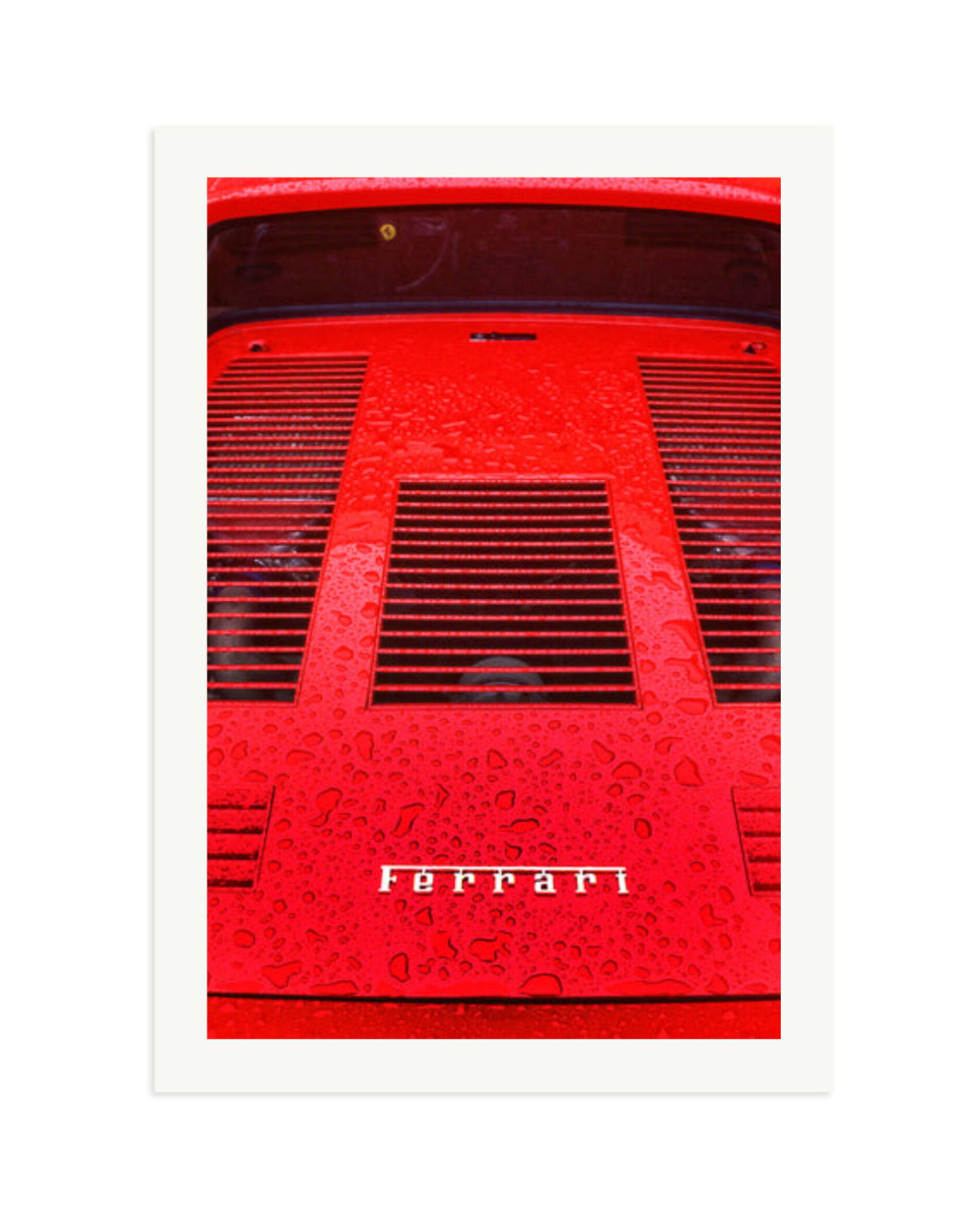 1984 Ferrari Print Only / XXL