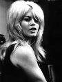 Bardot