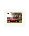 Ferrari Competizione Print Only / Small